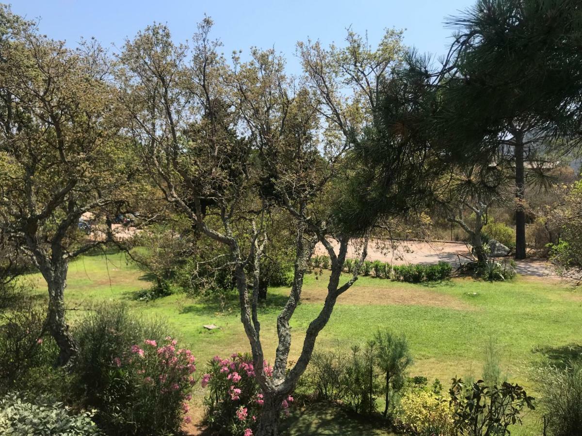 Porto-Vecchio Baie Santa Giulia Appartement Une Chambre 4-5 Personnes Eksteriør billede