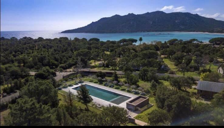 Porto-Vecchio Baie Santa Giulia Appartement Une Chambre 4-5 Personnes Eksteriør billede
