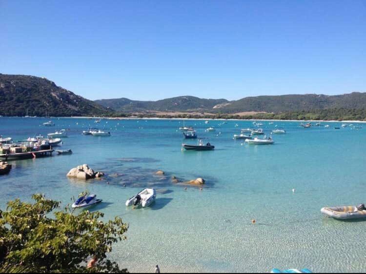 Porto-Vecchio Baie Santa Giulia Appartement Une Chambre 4-5 Personnes Eksteriør billede